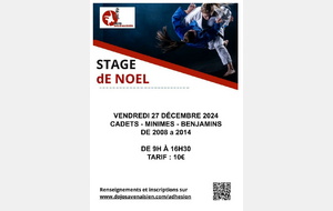 Stage judo de Noël 2024 pour les benjamins, cadets et minimes né(e)s de 2008 à 2014.