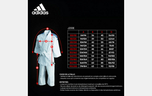 Kimono Junior J200