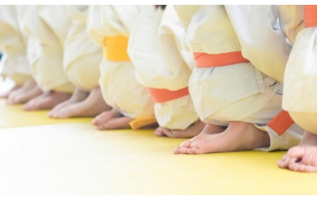Cours judo LJ1 - nés en 2019 et 2020 - Poussinets (lundi / jeudi)